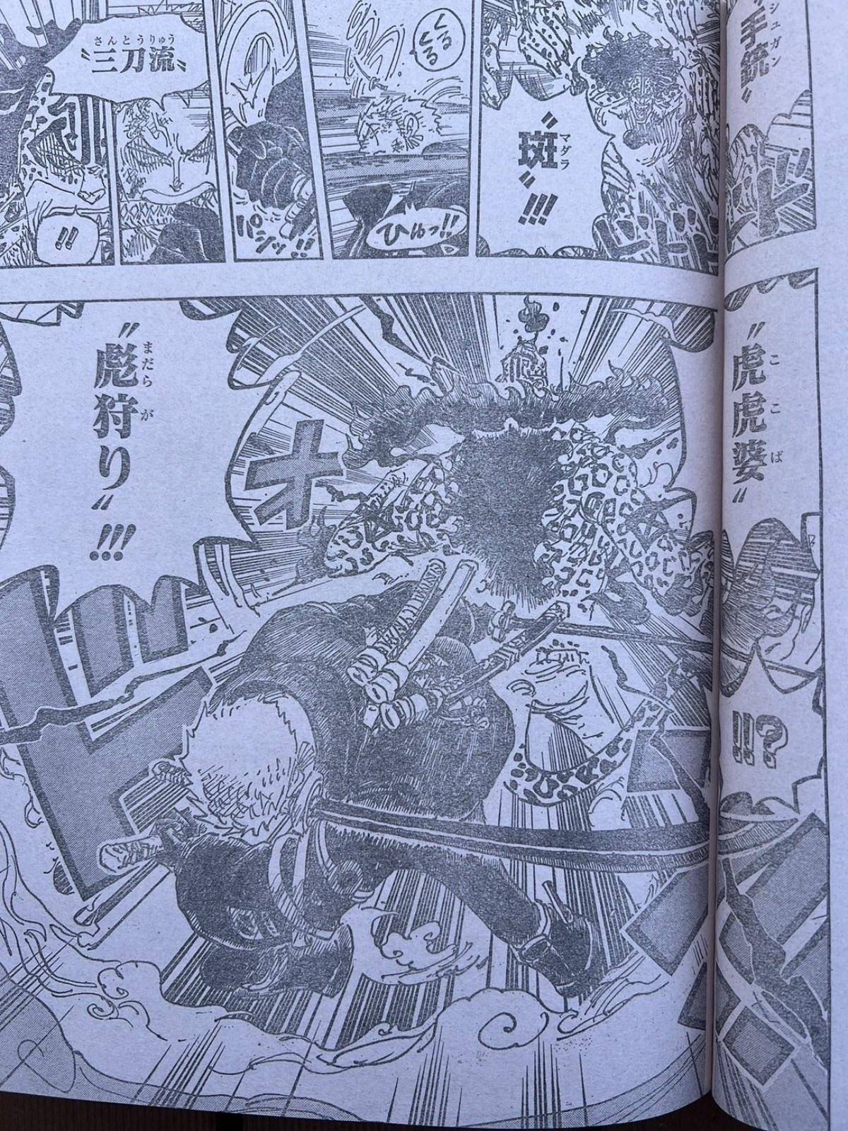 既然他们的能力已经公布了,那离讨伐天龙人也就不远了.