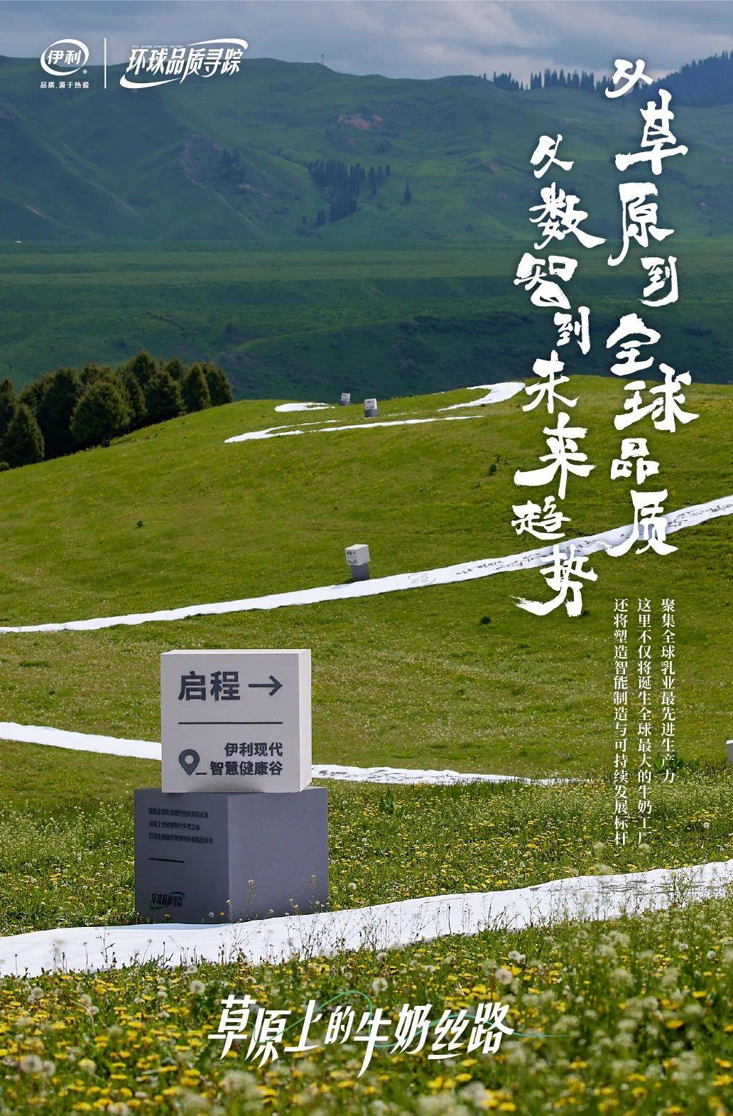 一杯牛奶的前世今生伊利如何创造牛奶丝路