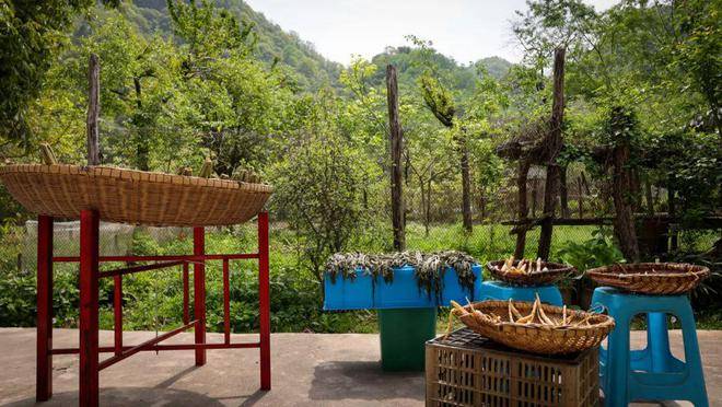 山里的春天是什么样子来秦岭走一走