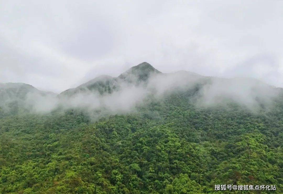1,山峦--畅享私属乐活登山道葱郁的青巽山,屿海至高处,看山海自然教育