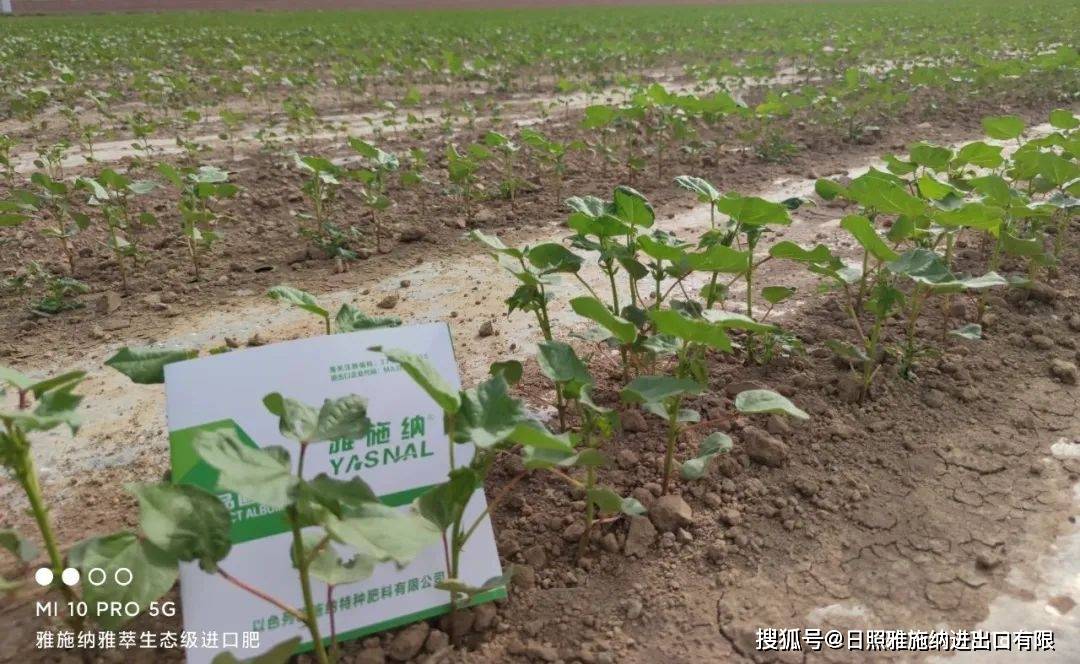 雅萃行业风向标雅施纳专注特肥五十余年匠心传承铸造精品好特肥