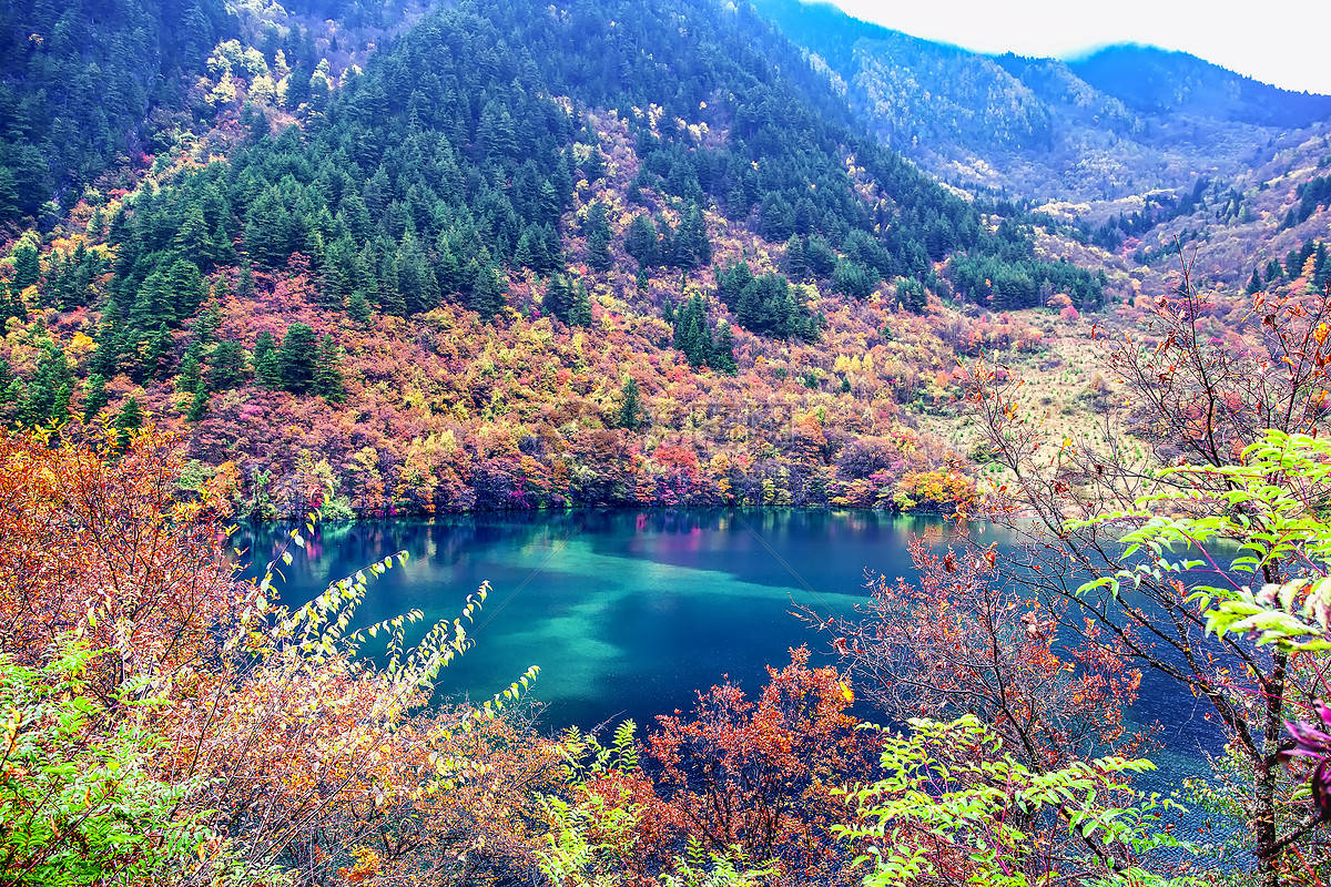 四川五日游旅游行程安排