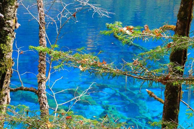 最近到四川去旅游攻略合适吗5月份去九寨沟合适吗看这篇省钱攻略