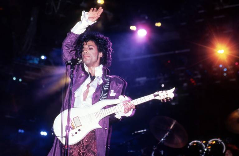 星空神经科学家的音响:前王子音效师的新篇章_rogers_susan_音乐