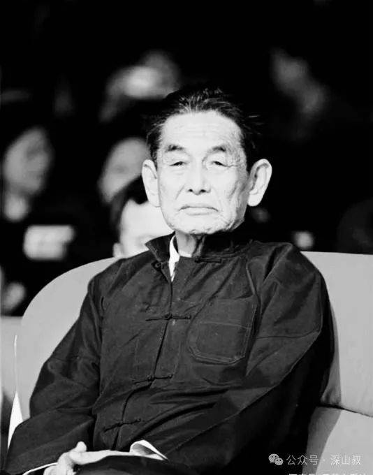 完结篇!缅北白所成,魏老二等人跟随彭家声抗缅:乱世群像的传奇故事!_