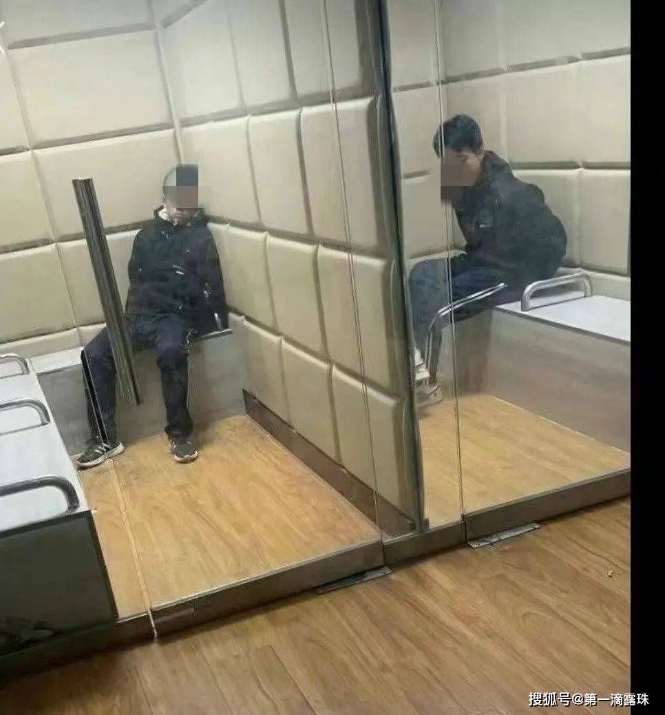 央媒及李玫瑾发声:建议判父母同罪_未成年人_少年_法律