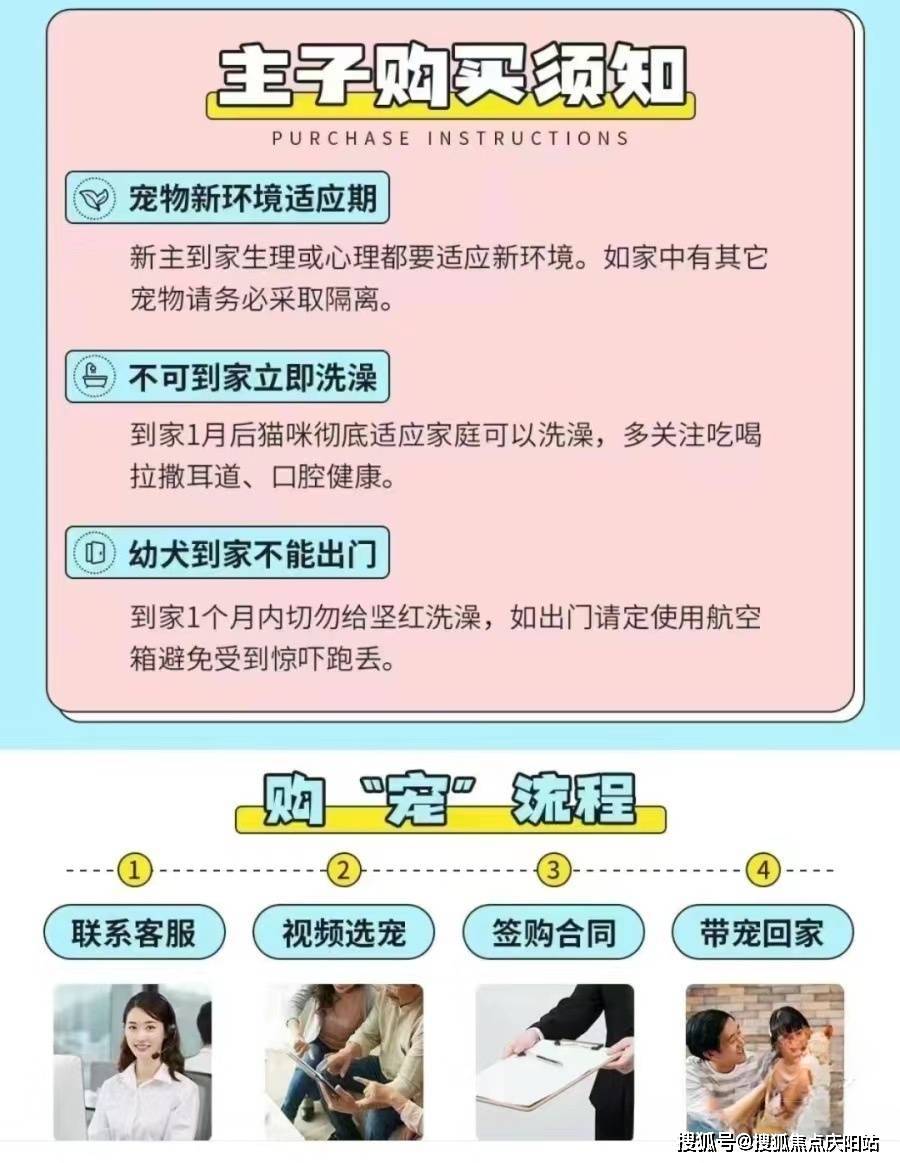 这里安全可靠还能实体店挑选宠物!