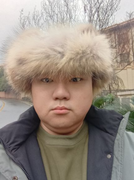 诗友初入楼|袁开来_红尘_灯火_烟梢