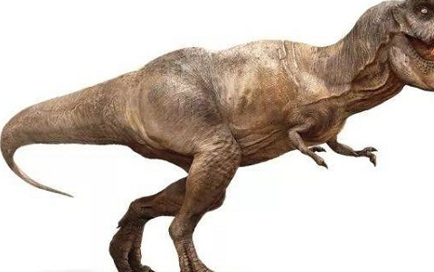 原创最强的恐龙是什么龙最厉害的恐龙第一名你猜到了吗