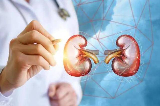 或许大多数人不清楚,医生为你揭秘_生命_肾脏_患者