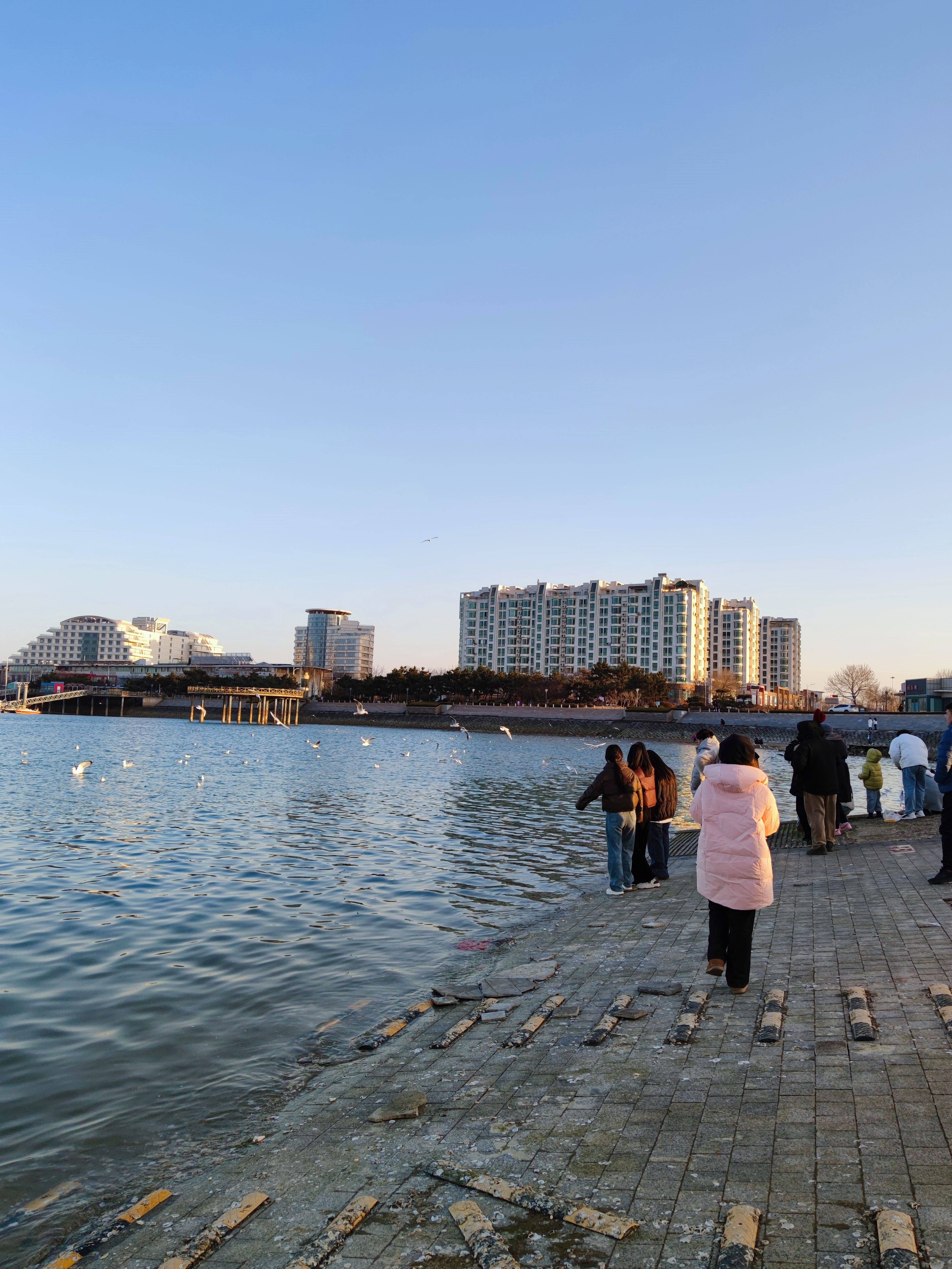 67在日照生活8年,整理出来的攻略_公园_太公_张家台