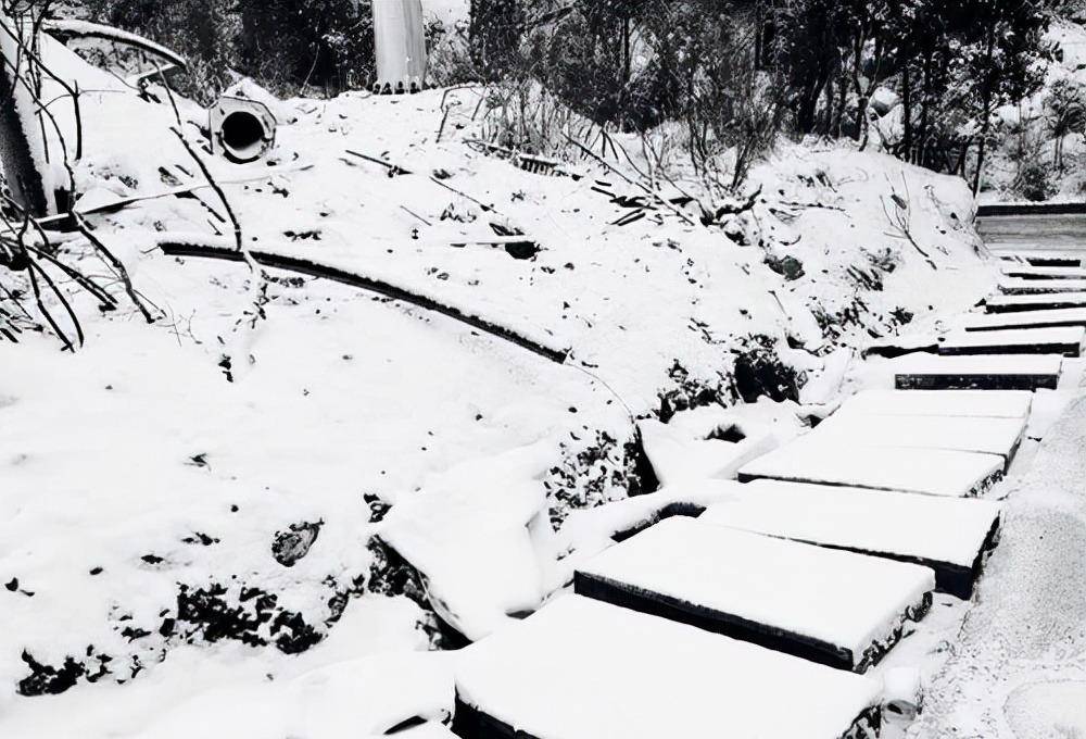 原创雪地惊现神秘足迹跟踪搜索民兵古墓勇斗僵尸
