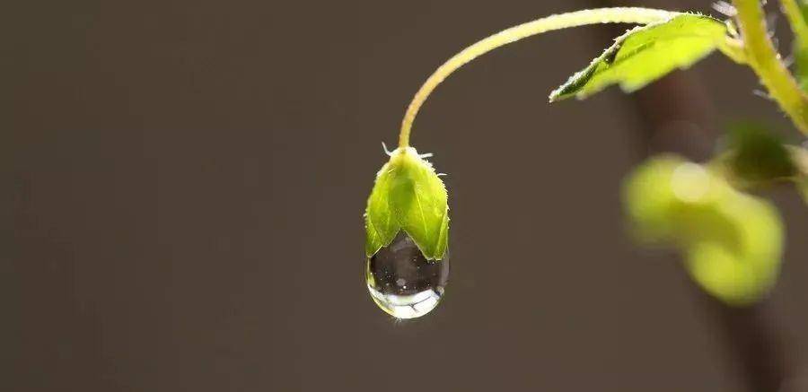 这一年,徐凤竹去参加乡试,果然考中了举人.