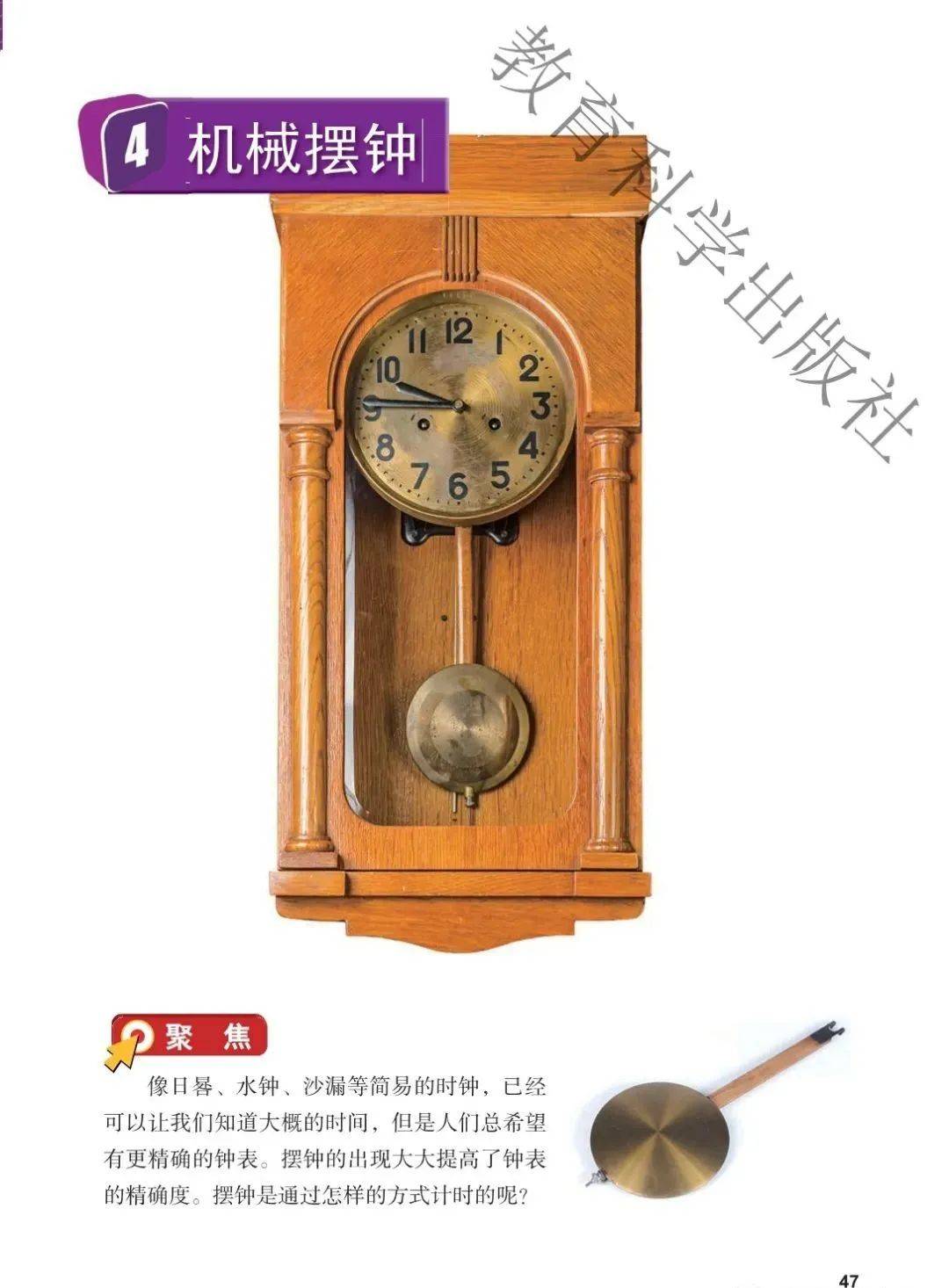 教科版五年级上册科学电子课本高清完整版