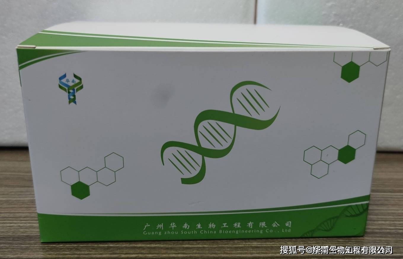 恙虫病东方体抗体检测试剂盒