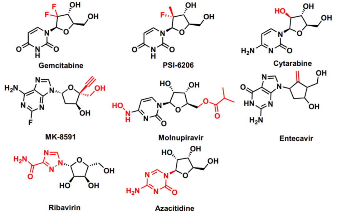 在相关药物研发的进程中,针对核苷碱基,糖苷键,糖环的修饰,是提升核苷