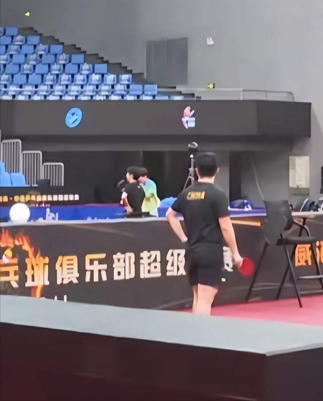 成绩只是体育明星大红的基础_乒乓球_社会_关系