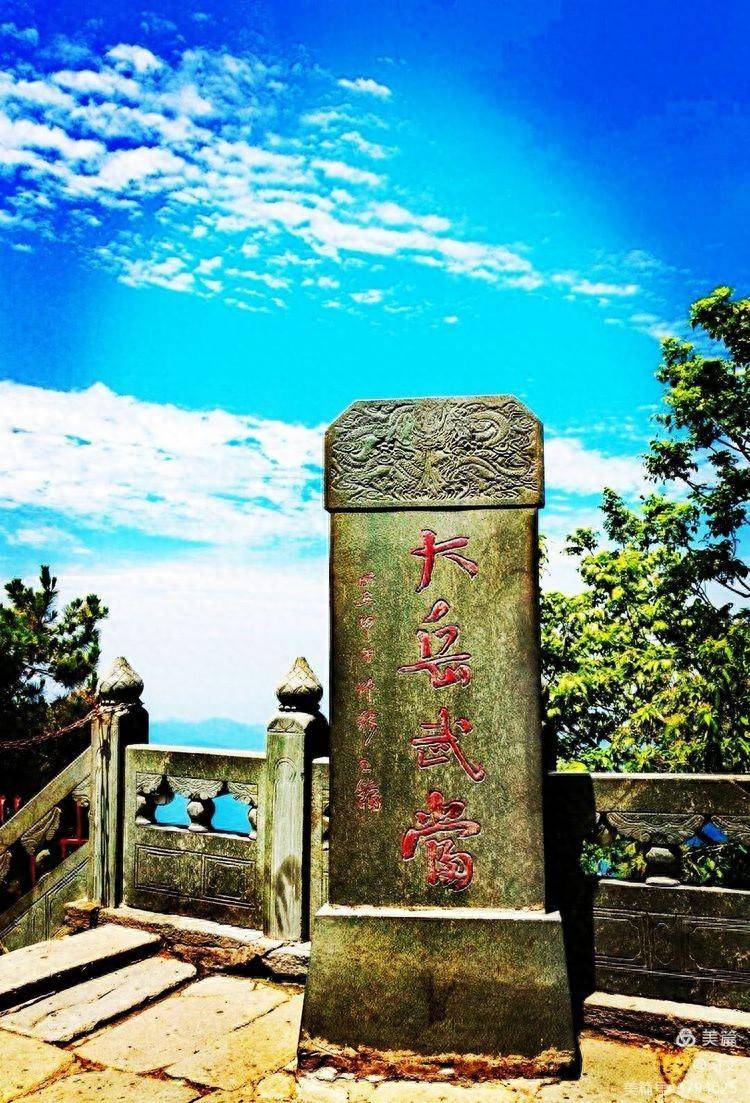 壁纸 桌面 750_1103 竖版 竖屏 手机