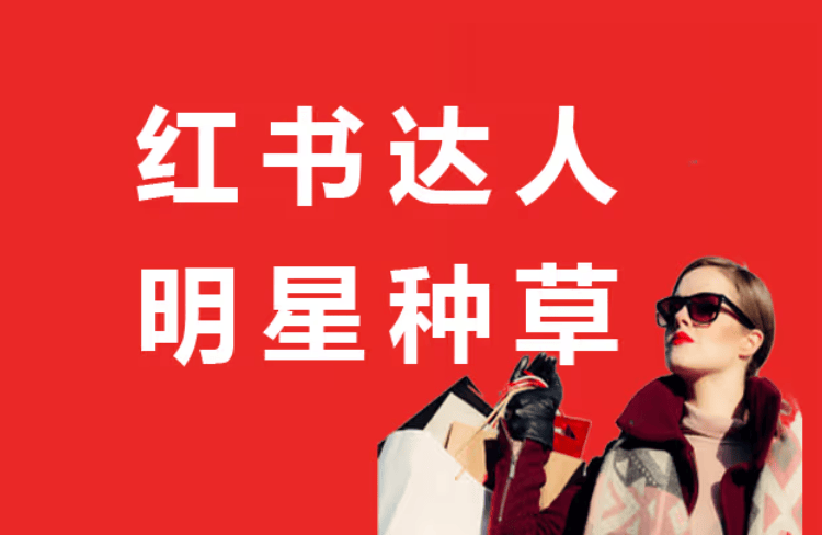 小红书达人种草机构避坑指南!品牌种草必看_反馈_内容_数据