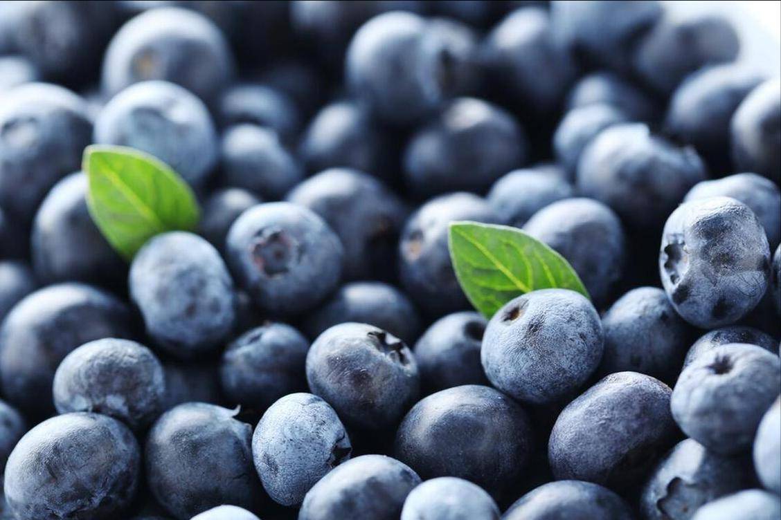 全国哪里的蓝莓好吃经过评比这6个地方最出名有你家乡吗