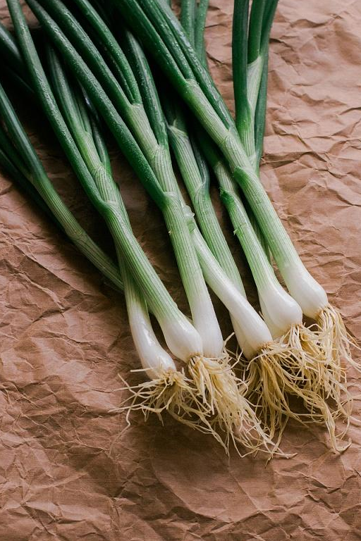 生吃大葱对身体好不好