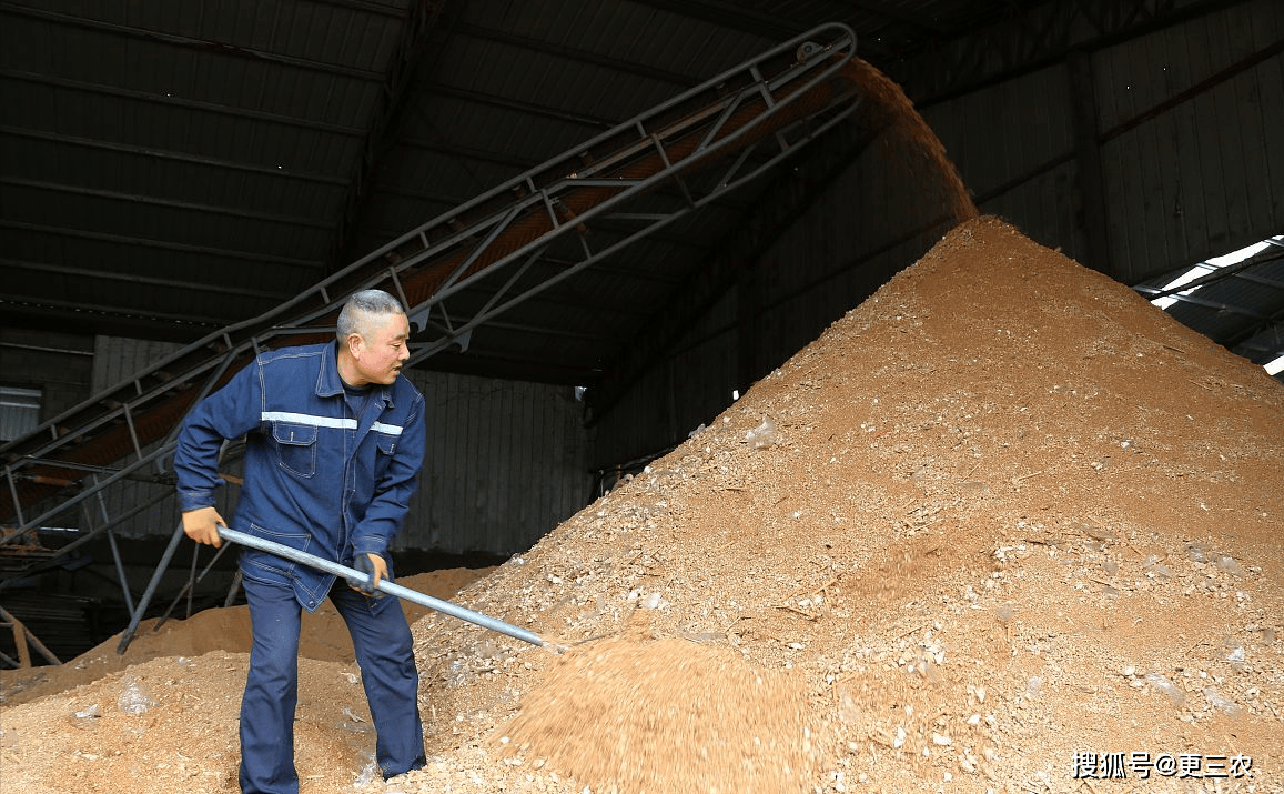 原创小麦价格跌不停面粉量价齐降3月18日小麦价格