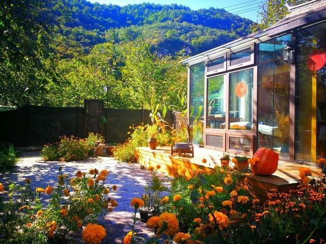 乡村康养旅居为何走热亲子人群家长为孩子预定暑期乡村康养旅居院子