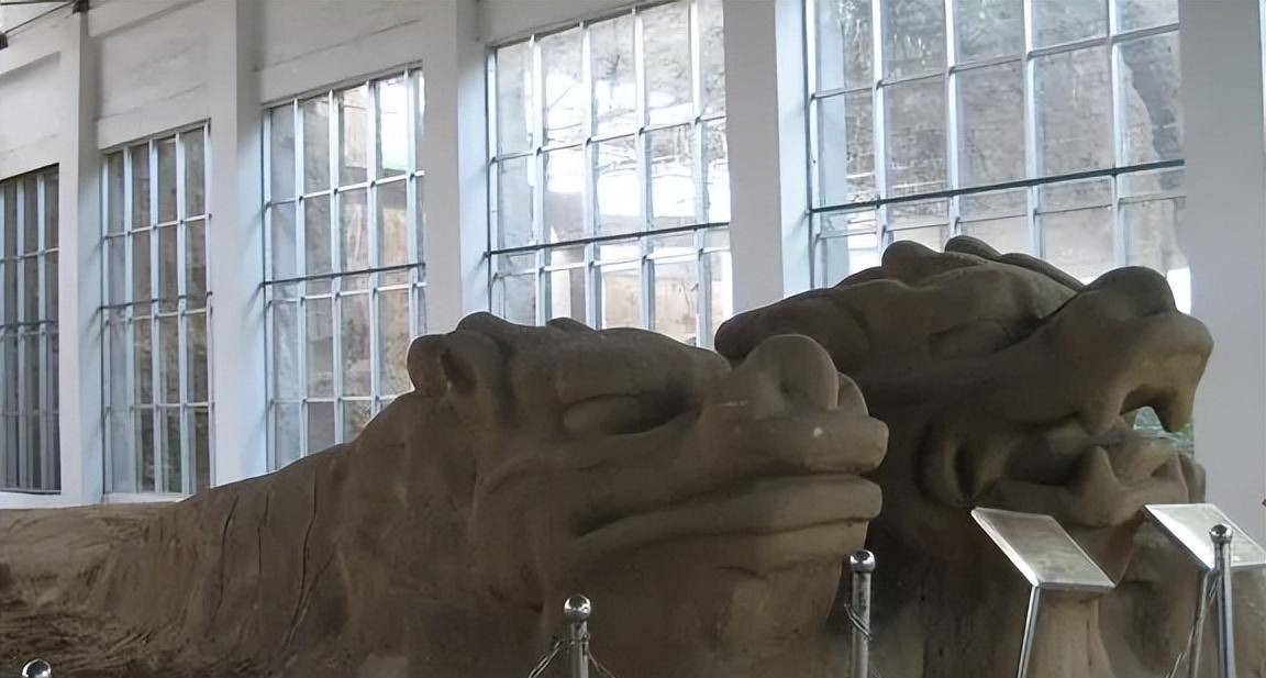 1988年,河北村民挖出300多米石头巨龙,形似龙身带龙爪,咋回事_石龙_姜