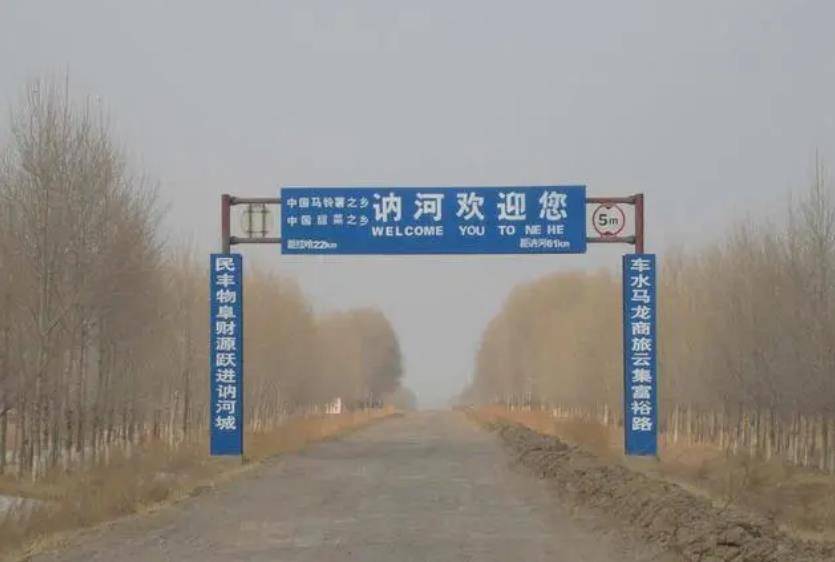 1991年,杭州一仙人跳团伙被抓,引出东北讷河42条人命大案