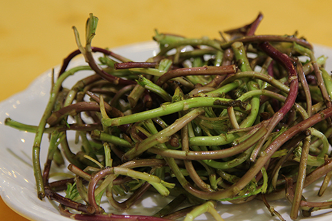 原创称为野菜随处可见同腊肉一块炒味道美极很多人认错