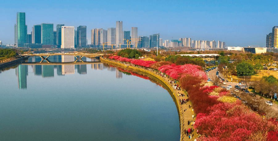 质量_义乌市_建设