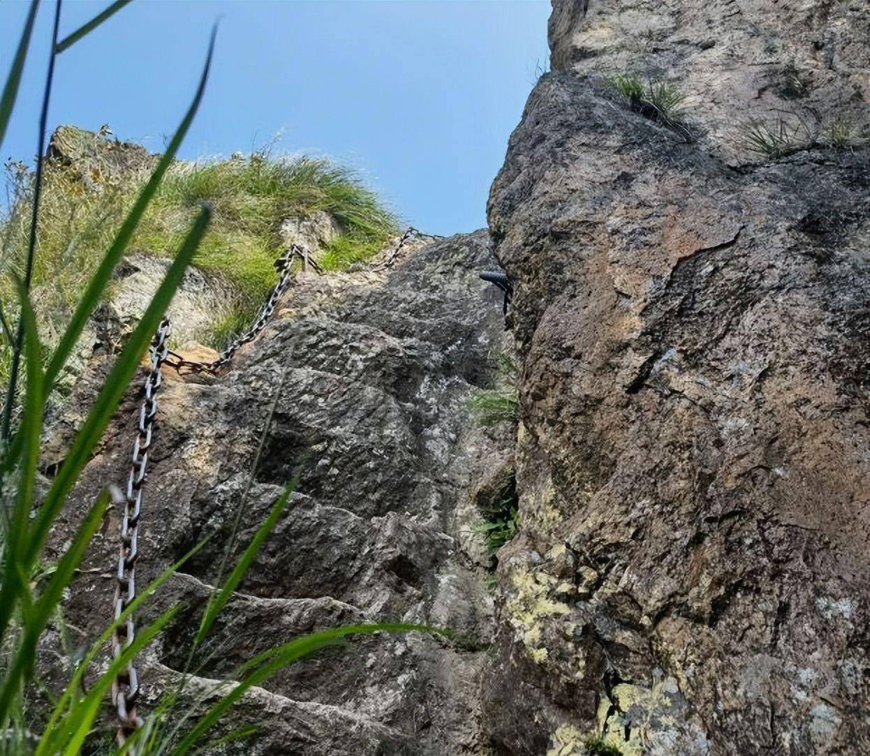途中听得鸟鸣山涧,不时还会偶遇菌菇,昆虫,山壁虎等,有点意思.