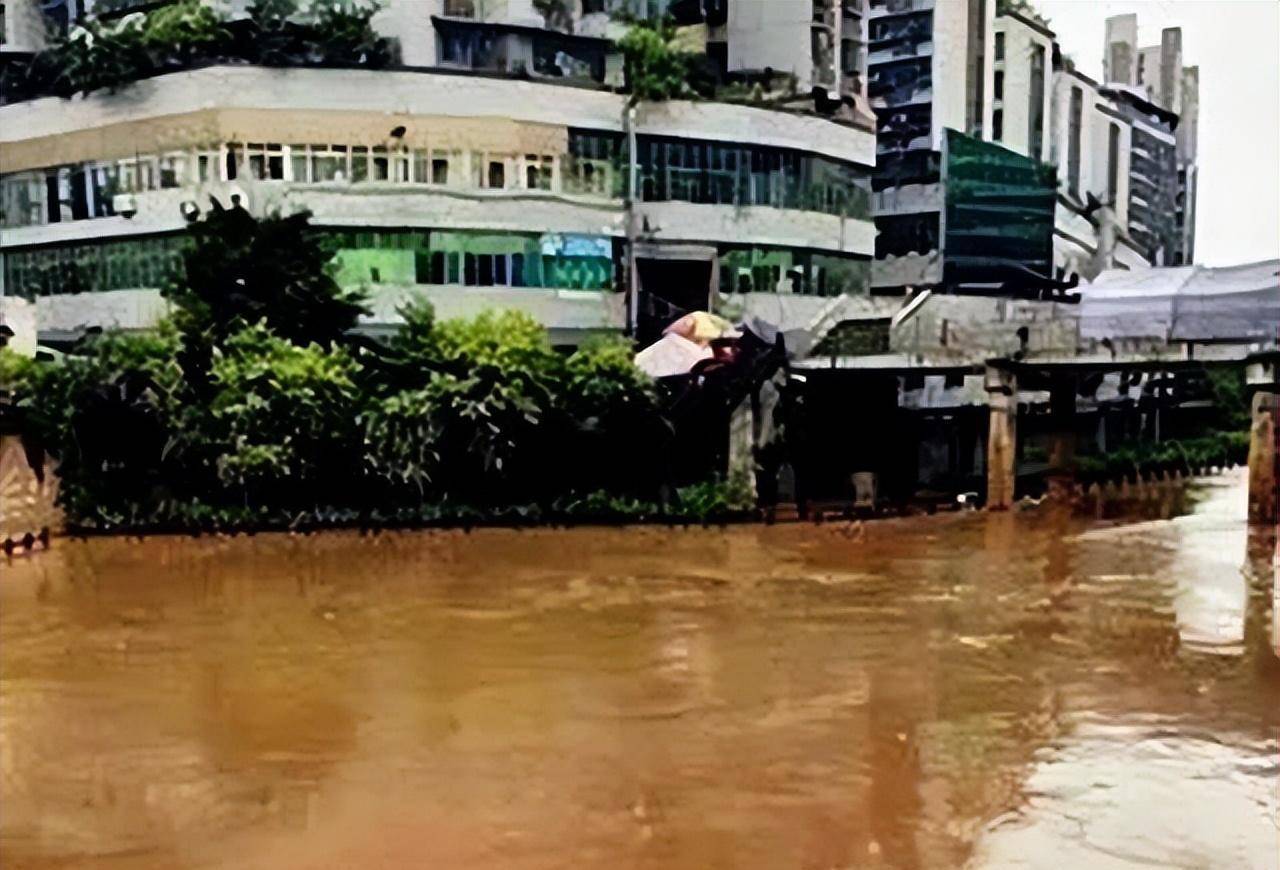 1983年安康蛇灾是怎么回事其实是假的蛇都是放生的