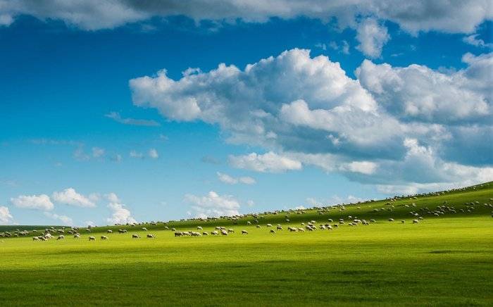 内蒙古六天五晚游玩行程规划,看这篇就够了_草原_海拉尔_价格