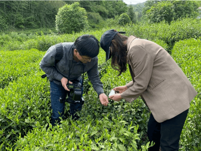 的最开始,数据积累是科学家们的头等大事,2016年到2018年的3年时间里