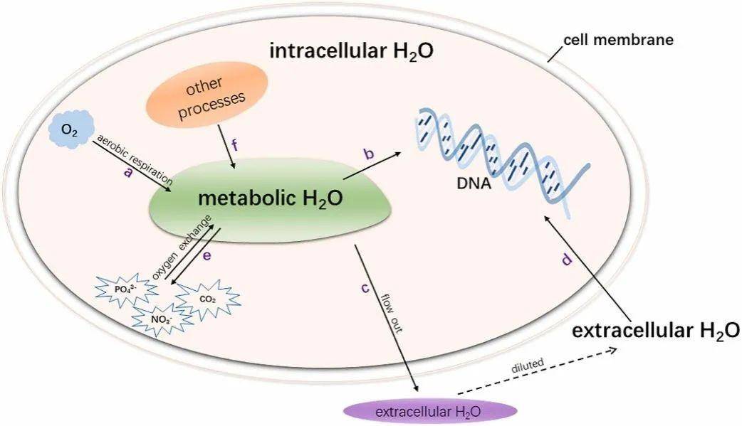 我校科研团队在全球变化背景下碳氮交互作用研究上取得系列新进展