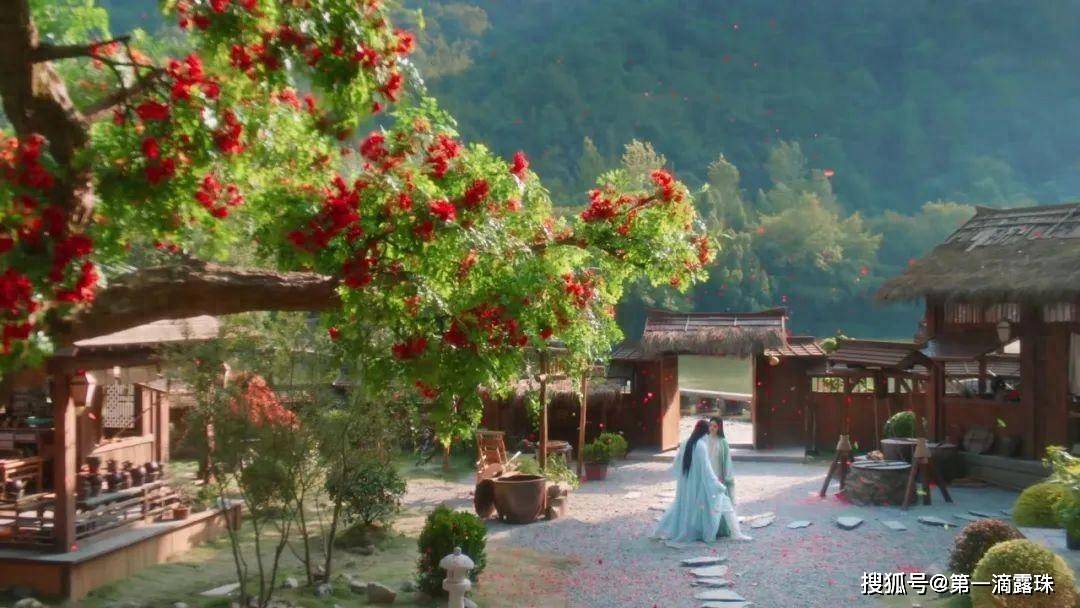 原创与凤行首播赵丽颖霸气女王爷与病娇神君喜感十足却被小凤凰抢了风