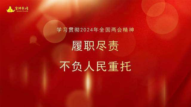 宣讲家课件【学习贯彻2024年全国两会精神】履职尽责不负人民重托