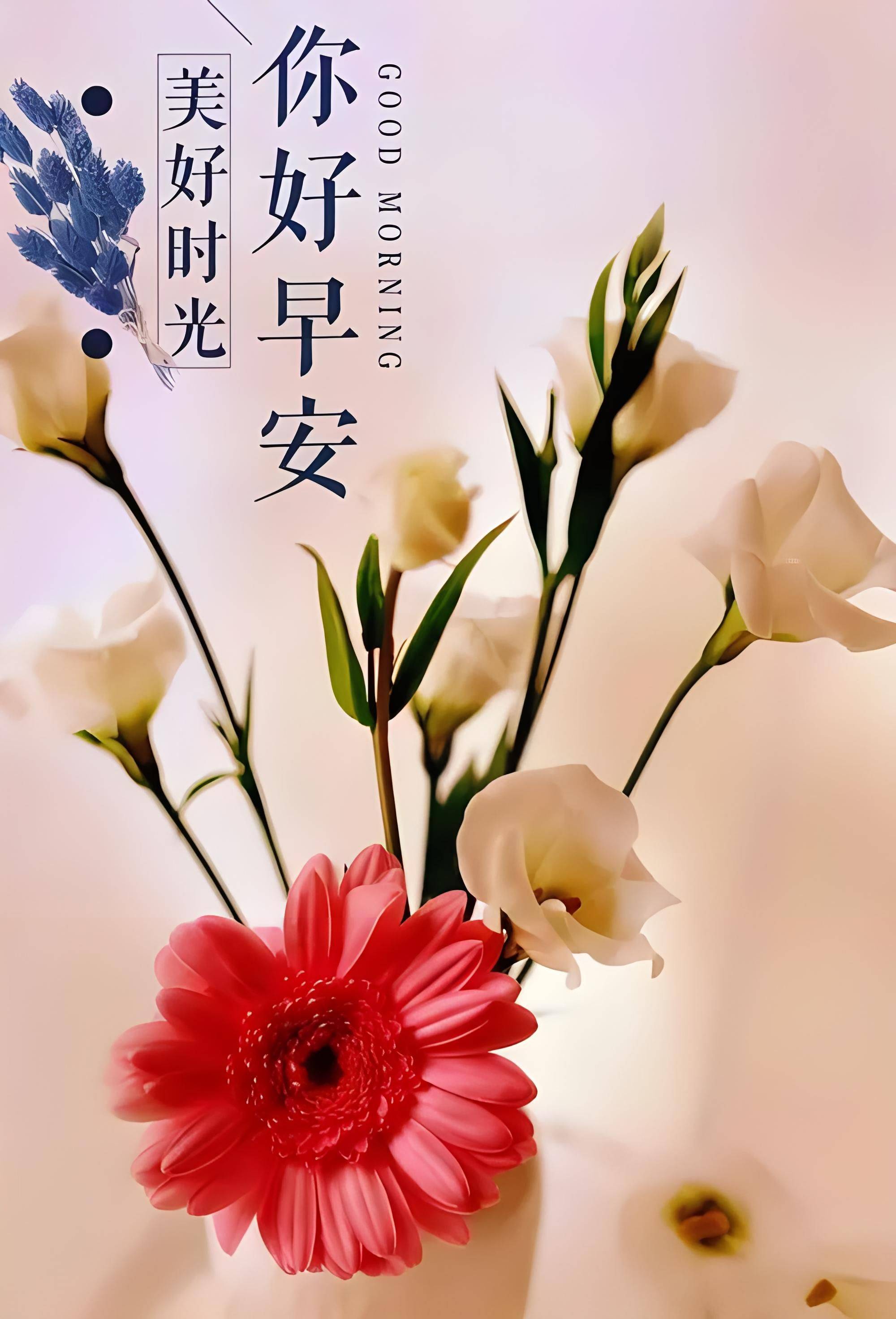 春分时节18句暖洋洋问候为你开启美好一天