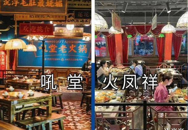 原创郑恺火锅店正式开业为啥那么多明星喜欢开火锅店原因很简单