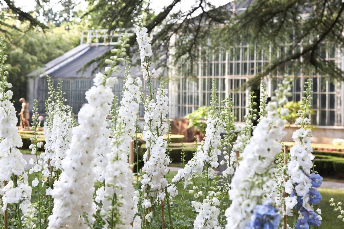 图源:se06ana botanical garden at villa mirasasso位于07tanjel