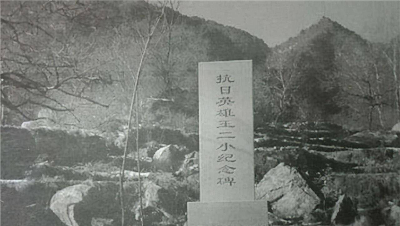 原创王二小墓地现状葬于牺牲处儿时玩伴守墓59年
