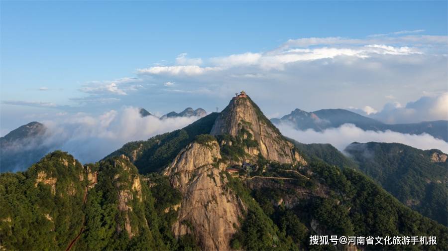 快来五朵山,赴一场"玉兰花开"之旅_南召_方向_景区