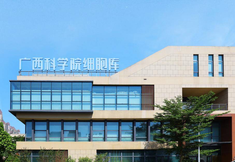 广西科学院细胞库作为与广西科学院共同设立的细胞库,是广西唯一获得