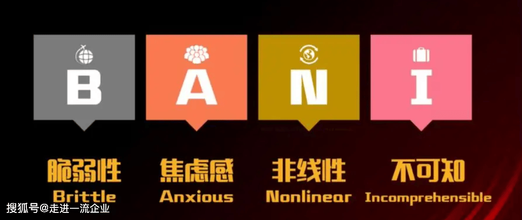 当下的经营环境用"bani"时代来描述最好不过了——brittleness(脆弱性