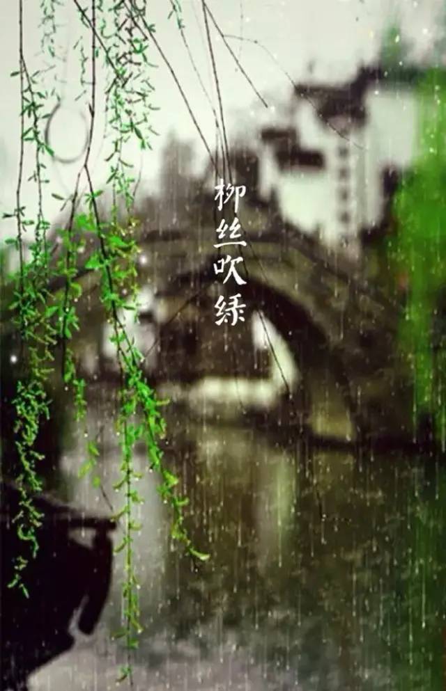 千年宋词最美在春天