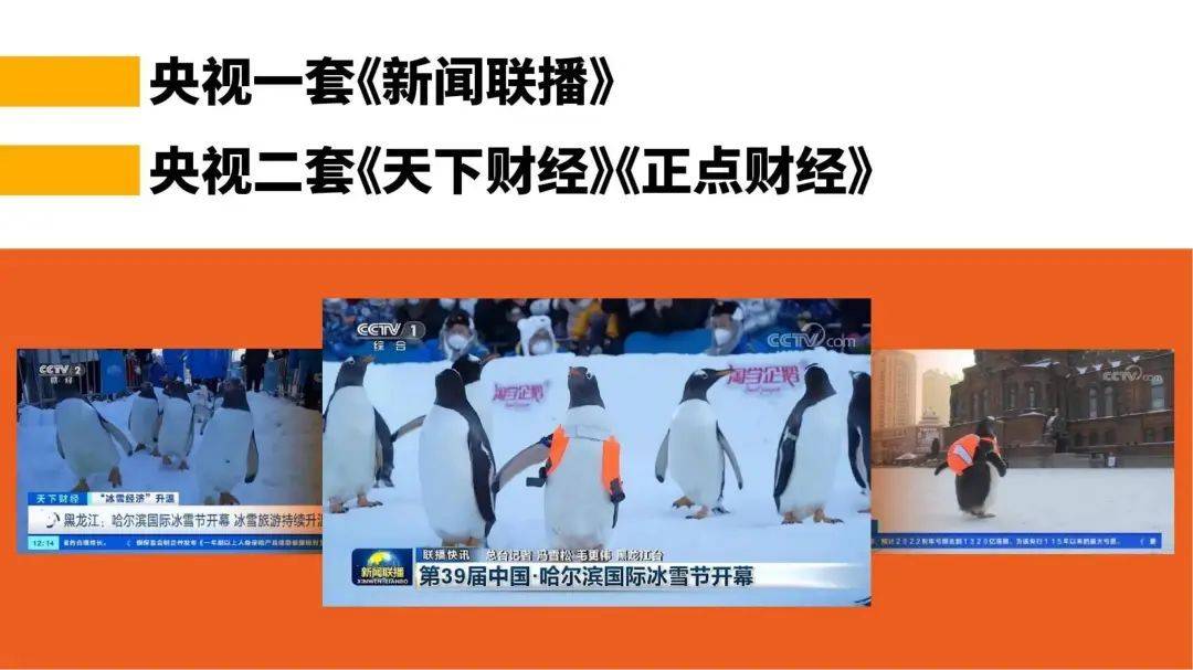 企鹅哈尔滨文旅爆火的导火线