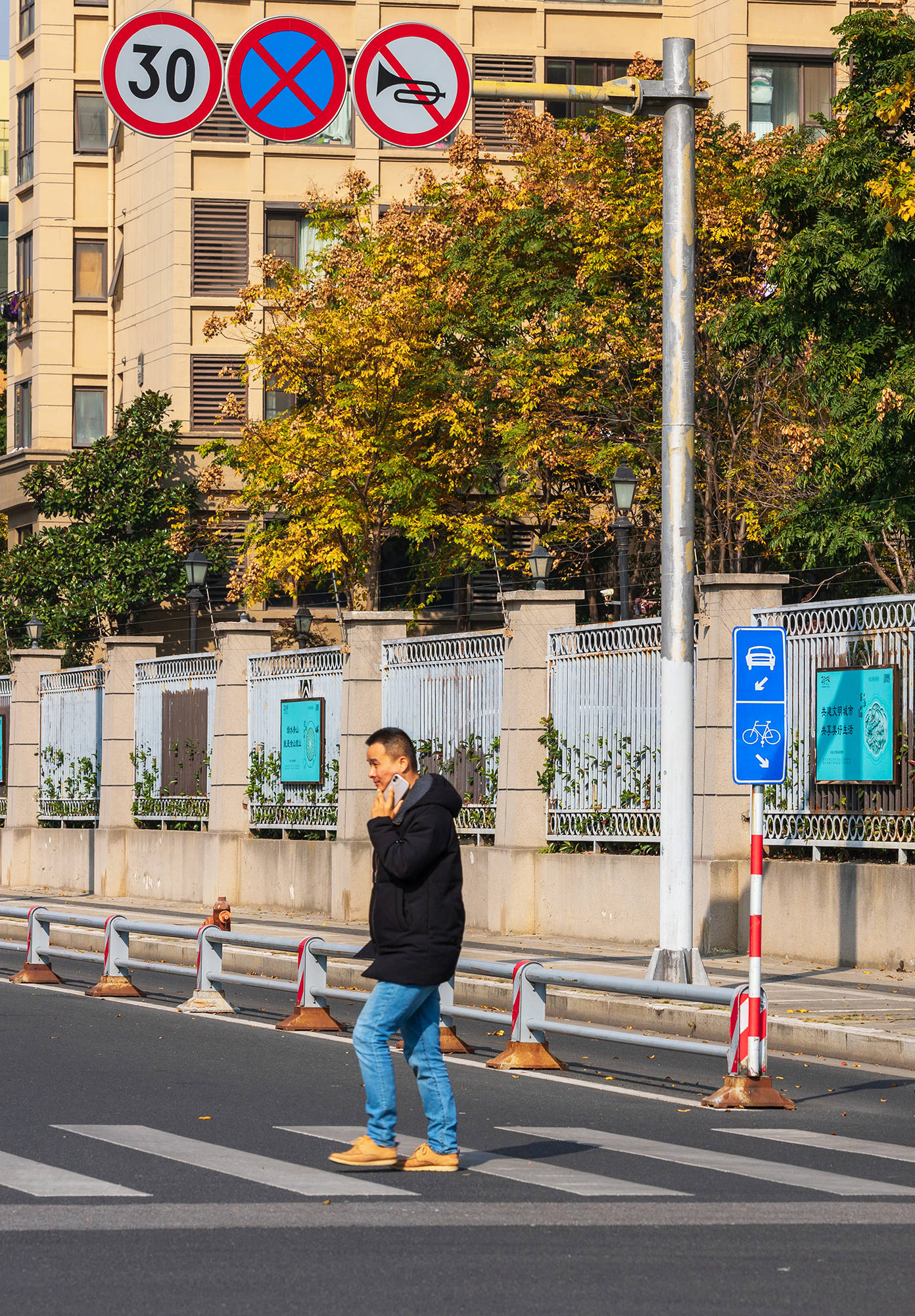 齐门北大街的法桐树藏着一座城最初的记忆