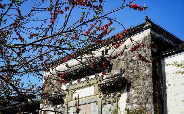 原创安徽黄山雄村一个800年历史的古村落因维护关闭成了最佳去处