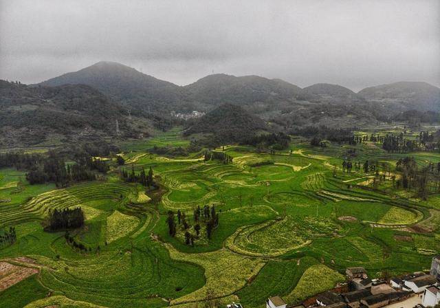 江苏小伙从云南自驾回家过年在罗平看到了最早的春天